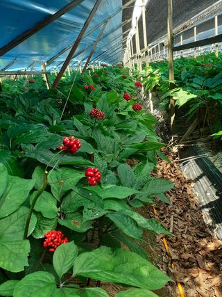 모두팜님의 자유주제 · 사진전 작성글 사진