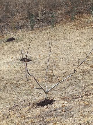 최한신님의 자유주제 · 사진전 작성글 사진