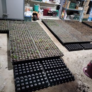 정광일님의 기타작물 · 자유게시판 작성글 사진