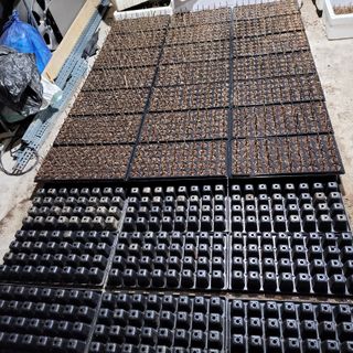 정광일님의 기타작물 · 자유게시판 작성글 사진