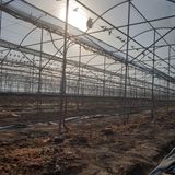 팜모닝 자유주제·사진전 게시글 이미지