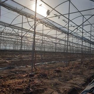 상주 한진학(달빛포님의 자유주제 · 사진전 작성글 사진