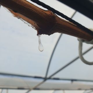 상주 한진학(달빛포님의 자유주제 · 사진전 작성글 사진