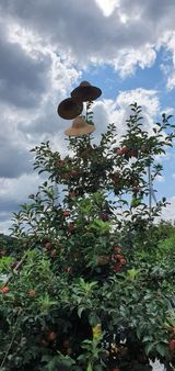 팜모닝 자유주제·사진전 게시글 이미지