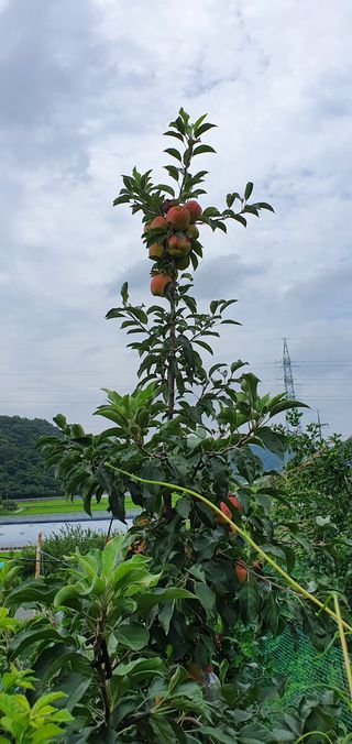 박무성님의 자유주제 · 사진전 작성글 사진