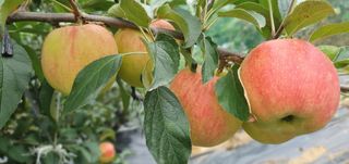 박무성님의 자유주제 · 사진전 작성글 사진