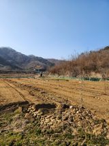 팜모닝 자유주제·사진전 게시글 이미지