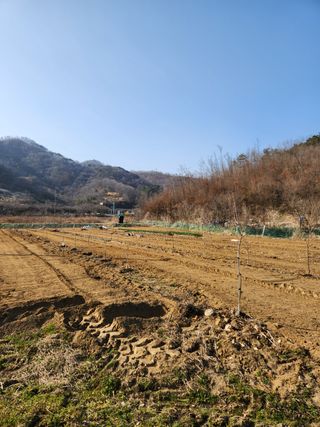 최귀동님의 자유주제 · 사진전 작성글 사진