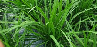 조일현님의 자유주제 · 사진전 작성글 사진