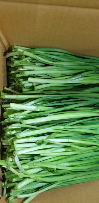 조일현님의 자유주제 · 사진전 작성글 사진