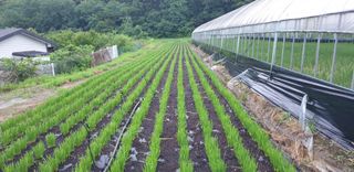 조일현님의 자유주제 · 사진전 작성글 사진