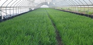 조일현님의 자유주제 · 사진전 작성글 사진