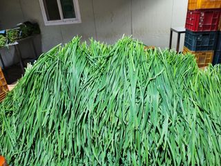 조일현님의 자유주제 · 사진전 작성글 사진