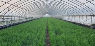 조일현님의 자유주제 · 사진전 작성글 사진