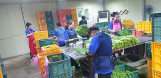 조일현님의 자유주제 · 사진전 작성글 사진