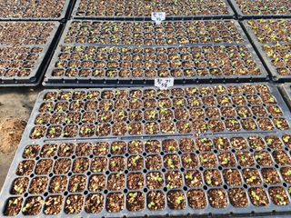 젊은미소님의 자유주제 · 사진전 작성글 사진