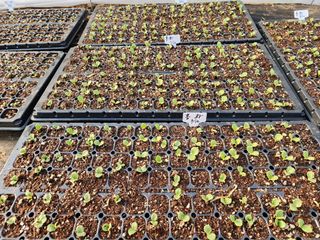 젊은미소님의 자유주제 · 사진전 작성글 사진