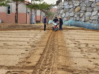 젊은미소님의 자유주제 · 사진전 작성글 사진