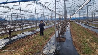 채효정님의 자유주제 · 자유게시판 작성글 사진