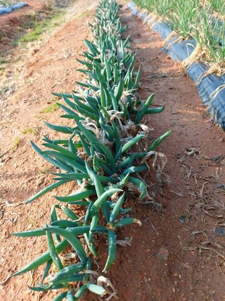 이명규님의 자유주제 · 사진전 작성글 사진