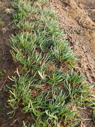 이명규님의 자유주제 · 사진전 작성글 사진