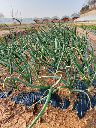 이명규님의 자유주제 · 사진전 작성글 사진