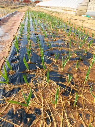 이명규님의 자유주제 · 사진전 작성글 사진