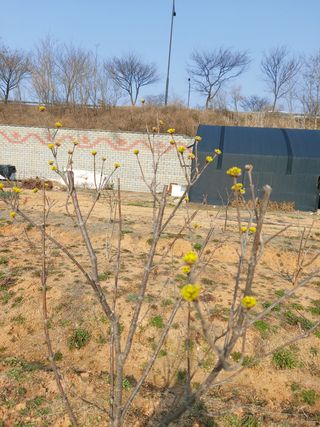 이명규님의 자유주제 · 사진전 작성글 사진