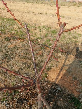 이명규님의 자유주제 · 사진전 작성글 사진