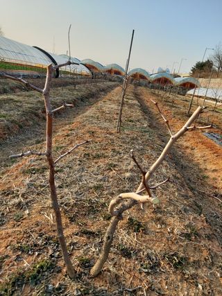 이명규님의 자유주제 · 사진전 작성글 사진