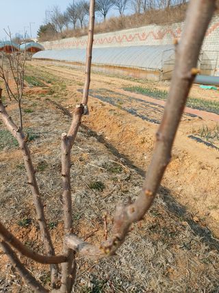 이명규님의 자유주제 · 사진전 작성글 사진