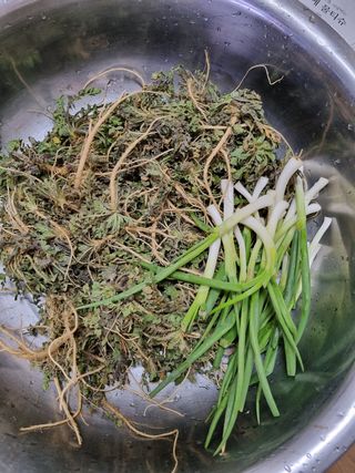 주화숙님의 자유주제 · 자유게시판 작성글 사진