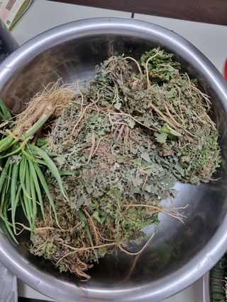 주화숙님의 자유주제 · 자유게시판 작성글 사진