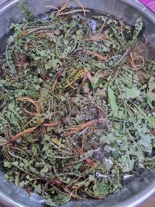 주화숙님의 자유주제 · 자유게시판 작성글 사진