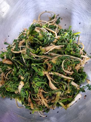 주화숙님의 자유주제 · 자유게시판 작성글 사진