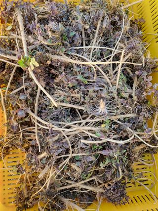 주화숙님의 자유주제 · 자유게시판 작성글 사진