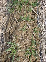 팜모닝 자유주제·자유게시판 게시글 이미지