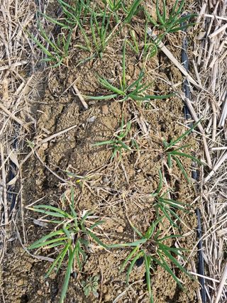 주화숙님의 자유주제 · 자유게시판 작성글 사진