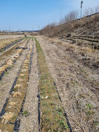 주화숙님의 자유주제 · 자유게시판 작성글 사진