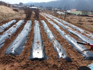 정희군님의 자유주제 · 자유게시판 작성글 사진