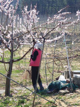 밤이슬님의 자유주제 · 자유게시판 작성글 사진