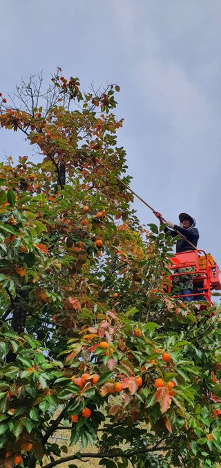 김복렬님의 자유주제 · 사진전 작성글 사진