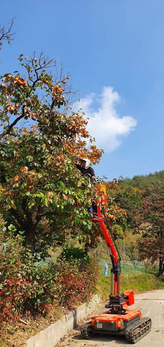 김복렬님의 자유주제 · 사진전 작성글 사진