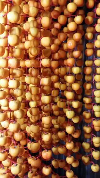 김복렬님의 자유주제 · 사진전 작성글 사진