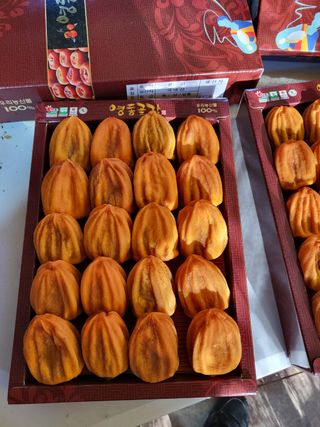 김복렬님의 자유주제 · 사진전 작성글 사진