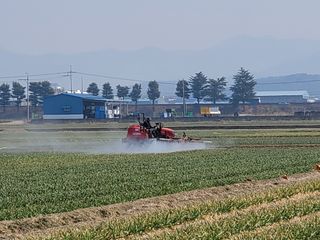통통돼지님의 자유주제 · 자유게시판 작성글 사진