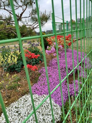 자연을사랑하자님의 자유주제 · 자유게시판 작성글 사진