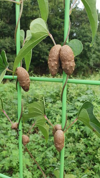 자연을사랑하자님의 자유주제 · 자유게시판 작성글 사진