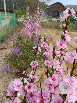 자연을사랑하자님의 자유주제 · 자유게시판 작성글 사진