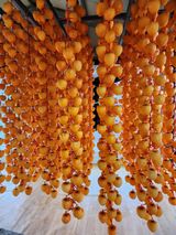 팜모닝 자유주제·사진전 게시글 이미지